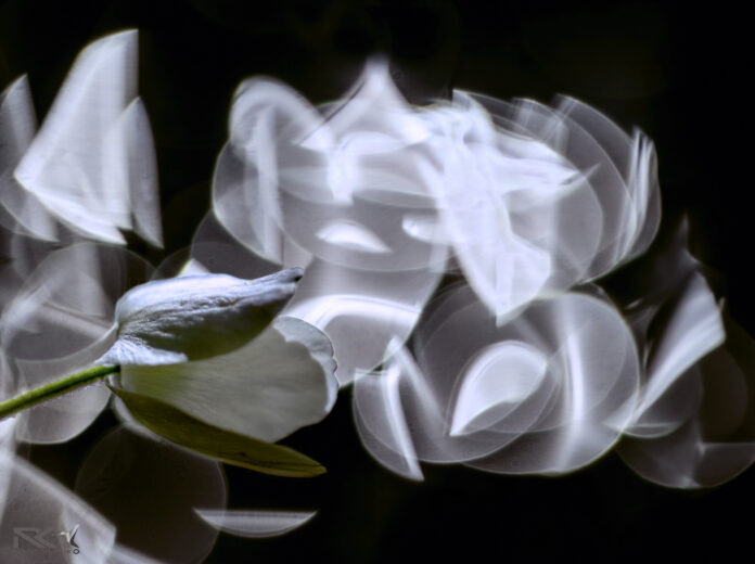 20240401-_13A4646 Kopie 2