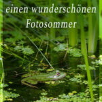 HP-Sommer24-1