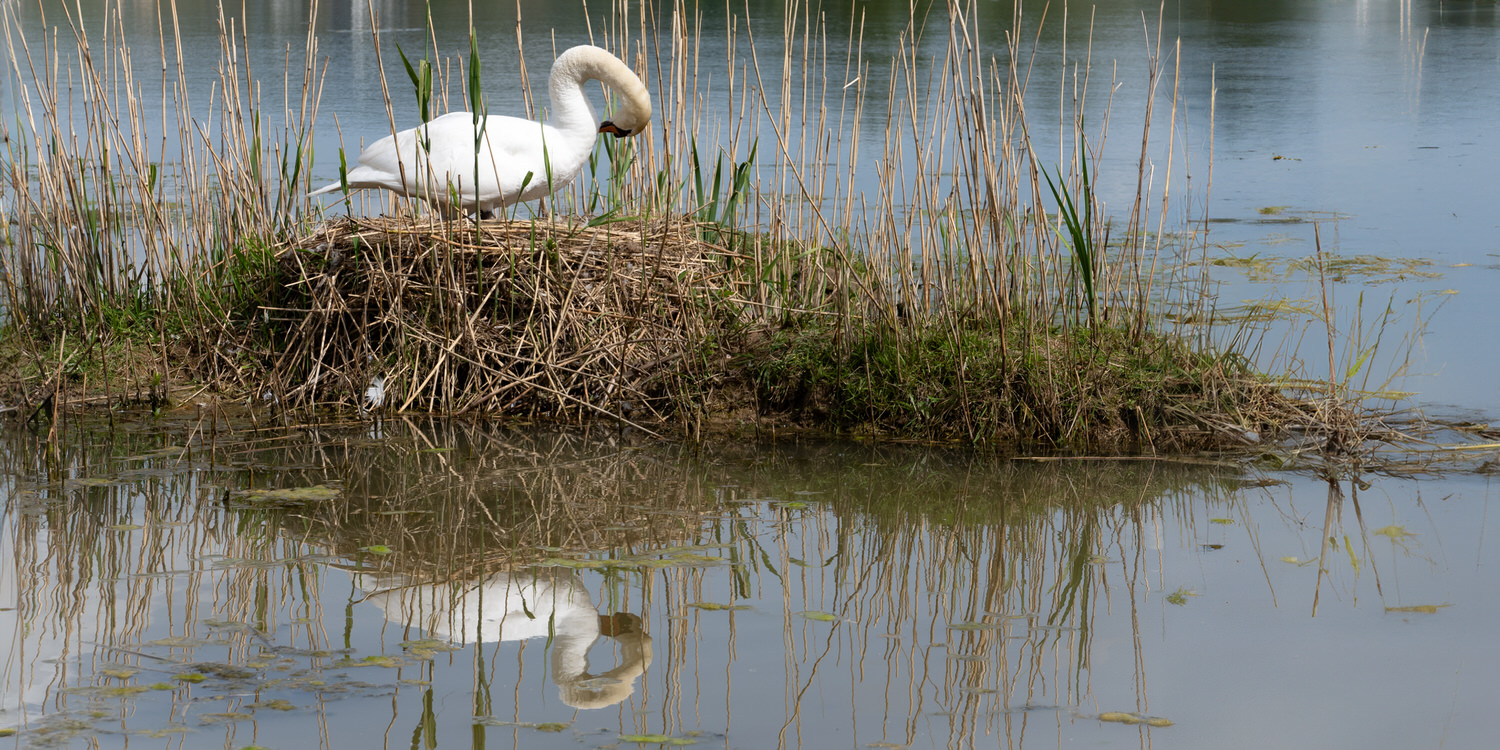 Monatsbilder 05/2024 – Thema: SPIEGELBILD