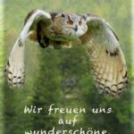 hp-herbst24-1