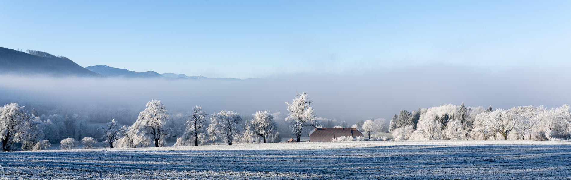 Anneliese Schumm – Winterlandschaften 1/2025