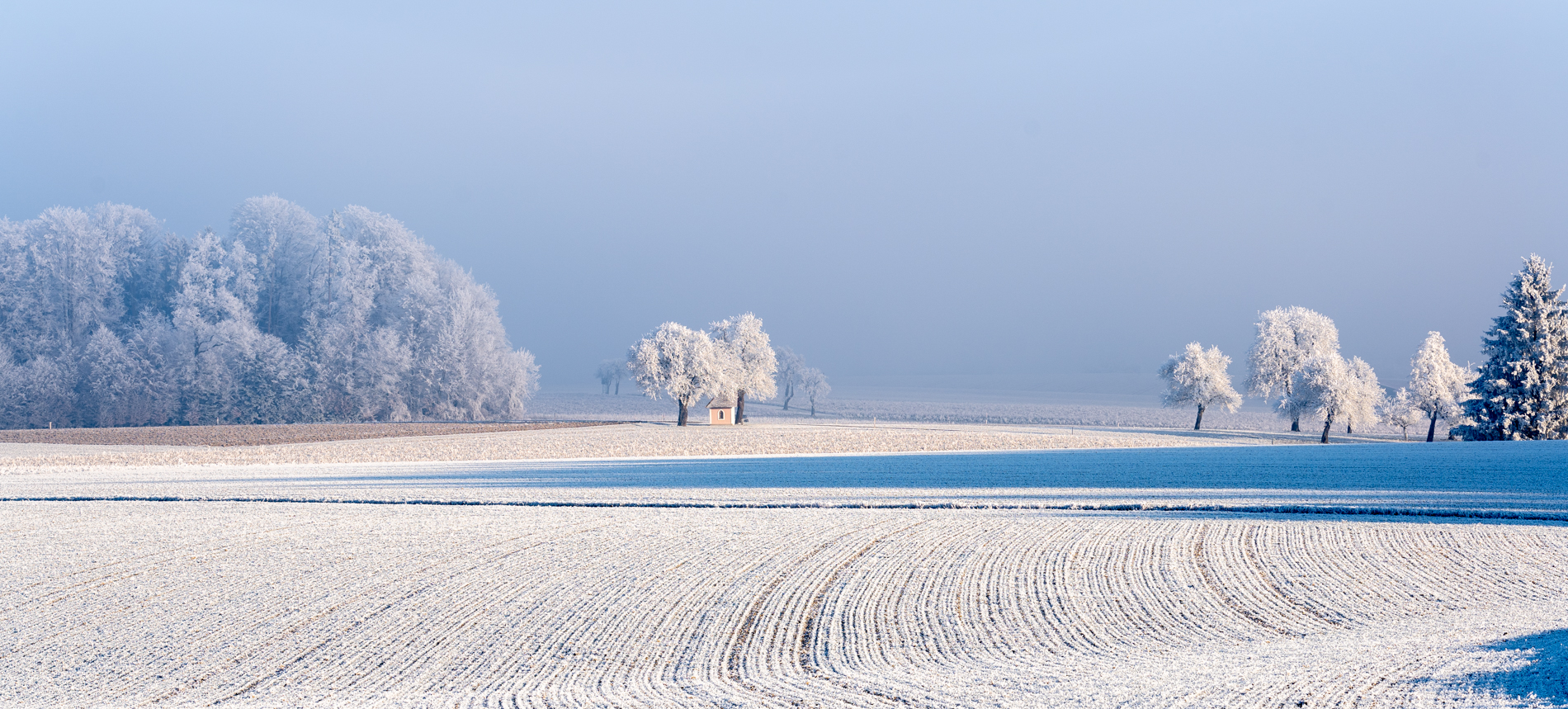 Anneliese Schumm – Winterlandschaften 2 – 1/2025