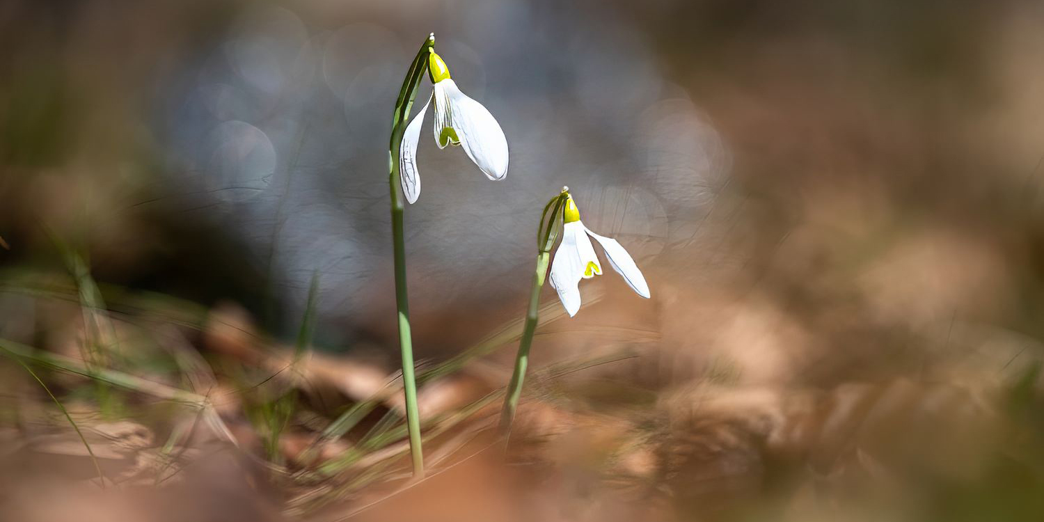 Monatsbilder 04/2025 – Thema: FREI 3