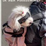 fotoklub-ulrich-sommer-2025
