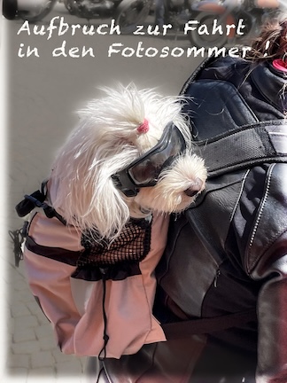Fotoklub St. Ulrich Sommer 2025
