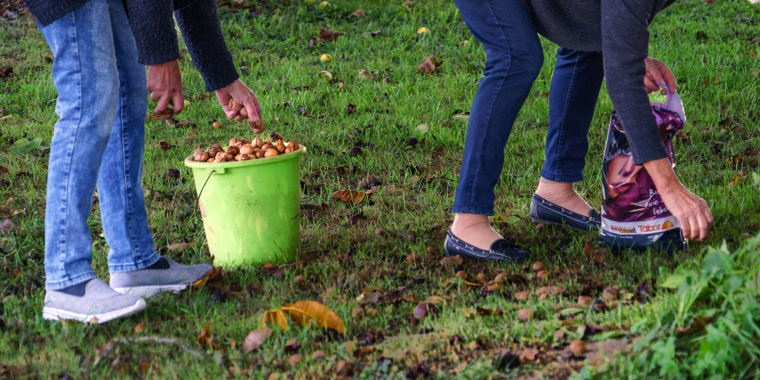 Monatsbilder 09/2025 – Thema: ERNTE