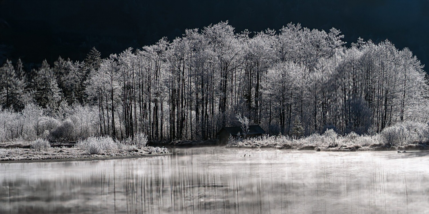 Monatsbilder 02/2026 – Thema: FREI 2