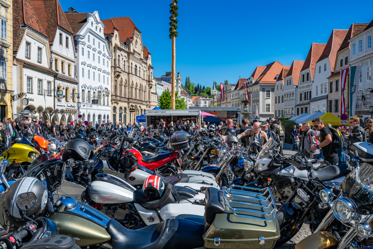 Leo Rebhandl – Harley 05/2026