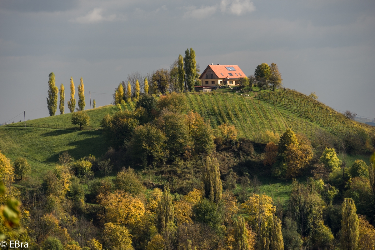 Erwin Brandner – S-Steiermark 10/2015